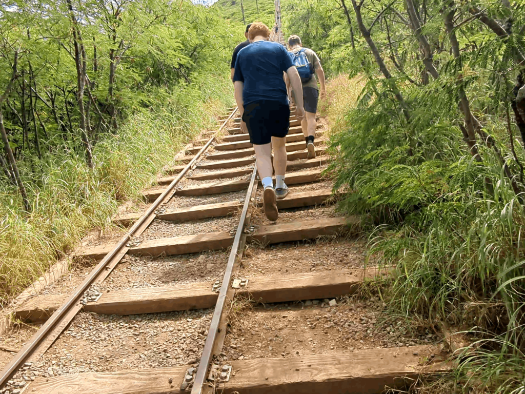 Cart tracks on Koko Head