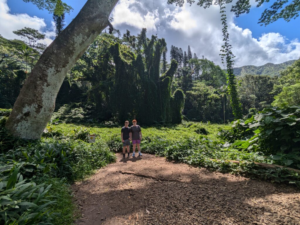 Two individuals are standing on a dirt trail at Manoa Falls in Hawaii with their backs to the camera, looking towards a dense jungle. The Jungle is lush and green, with trees covered in climbing vines. Sunlight filters through the canopy, highlighting the vibrant foliage. A small sign attached to a post is partially obscured by vegetation on the left.