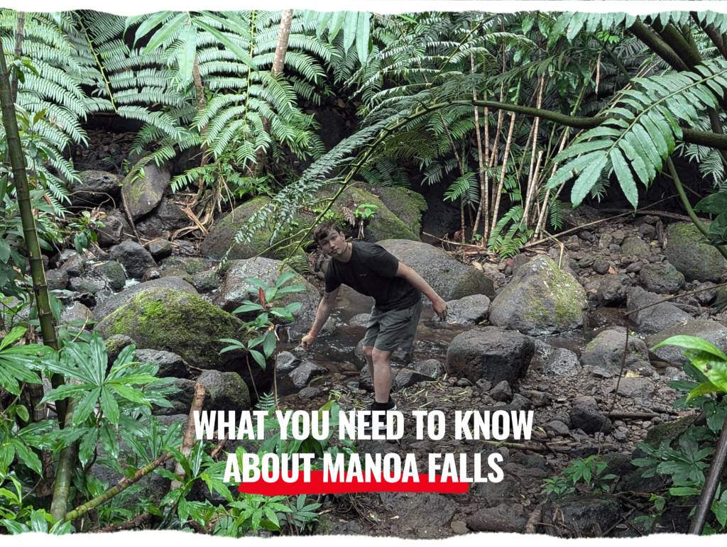 Michael McGill III is exploring Manoa Falls in Hawaii. He is seeing what is down the uncharted side trails.