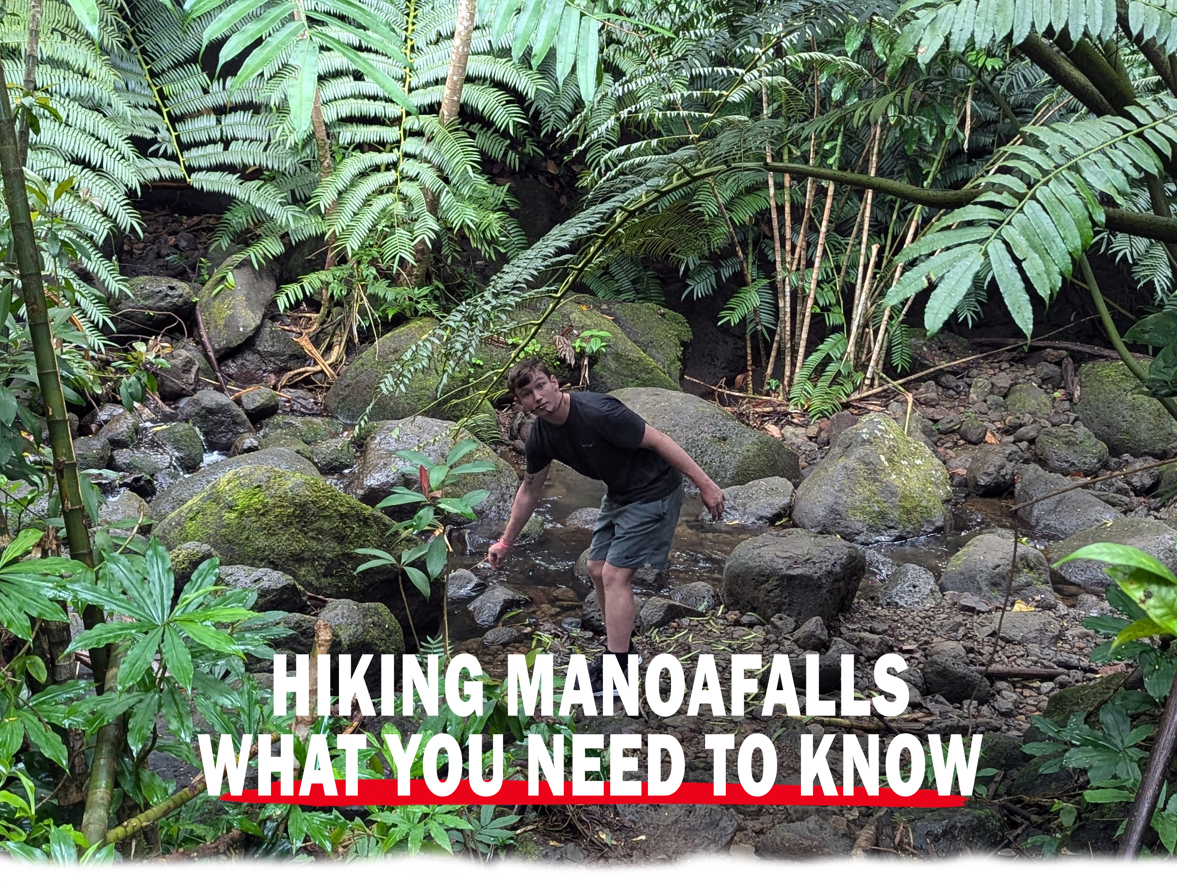 Hiking in the jungle at Manoa Falls Hawaii