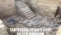 Animal remains excavated beside the monumental staircase at Casas del Turuñuelo, a Tartessian site in Extremadura, Spain.